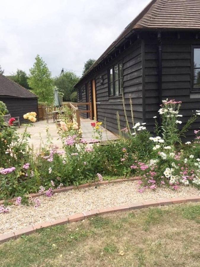 Orchard Cottage Canterbury Exteriör bild